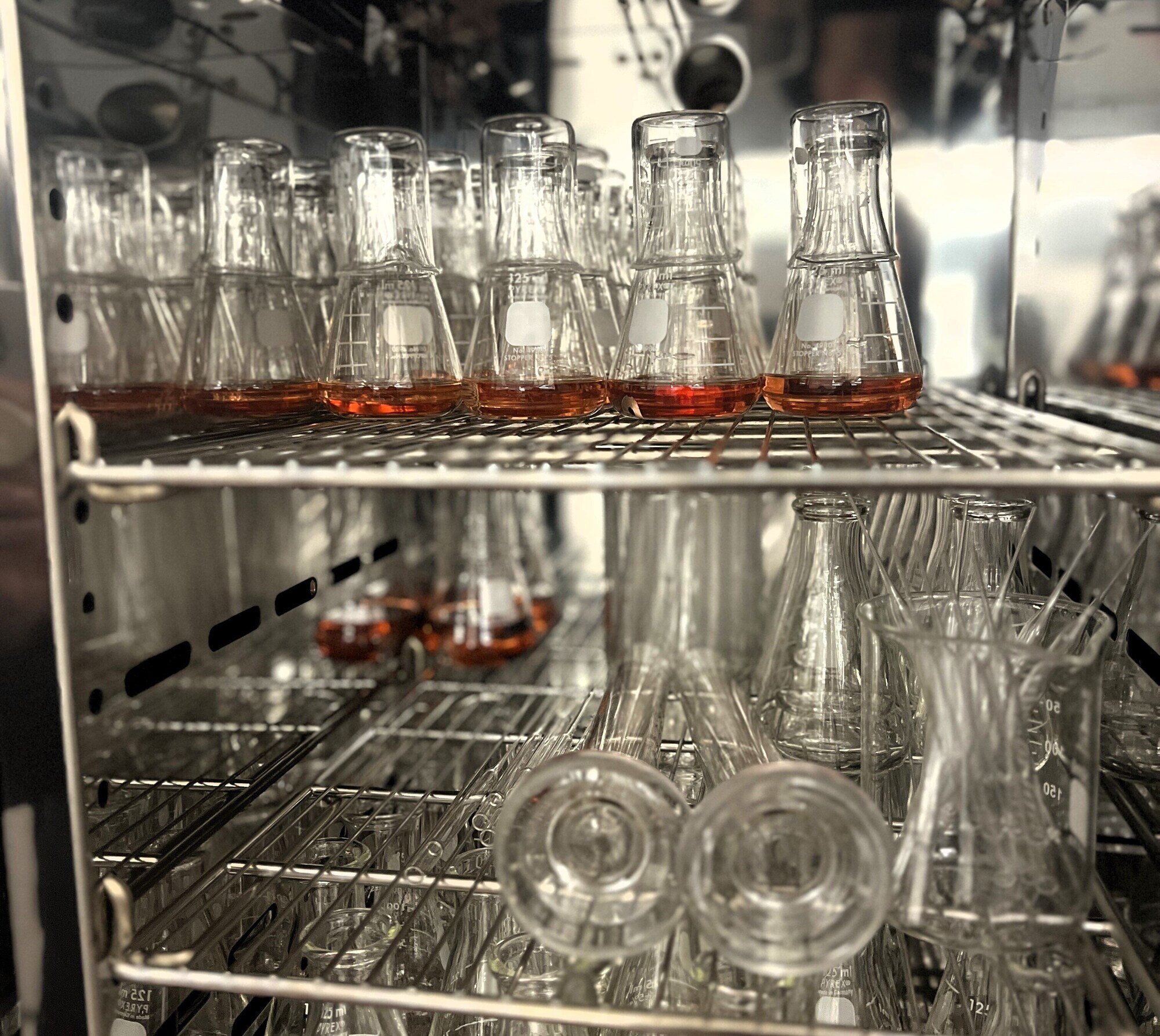 ASCENT Refrigerator