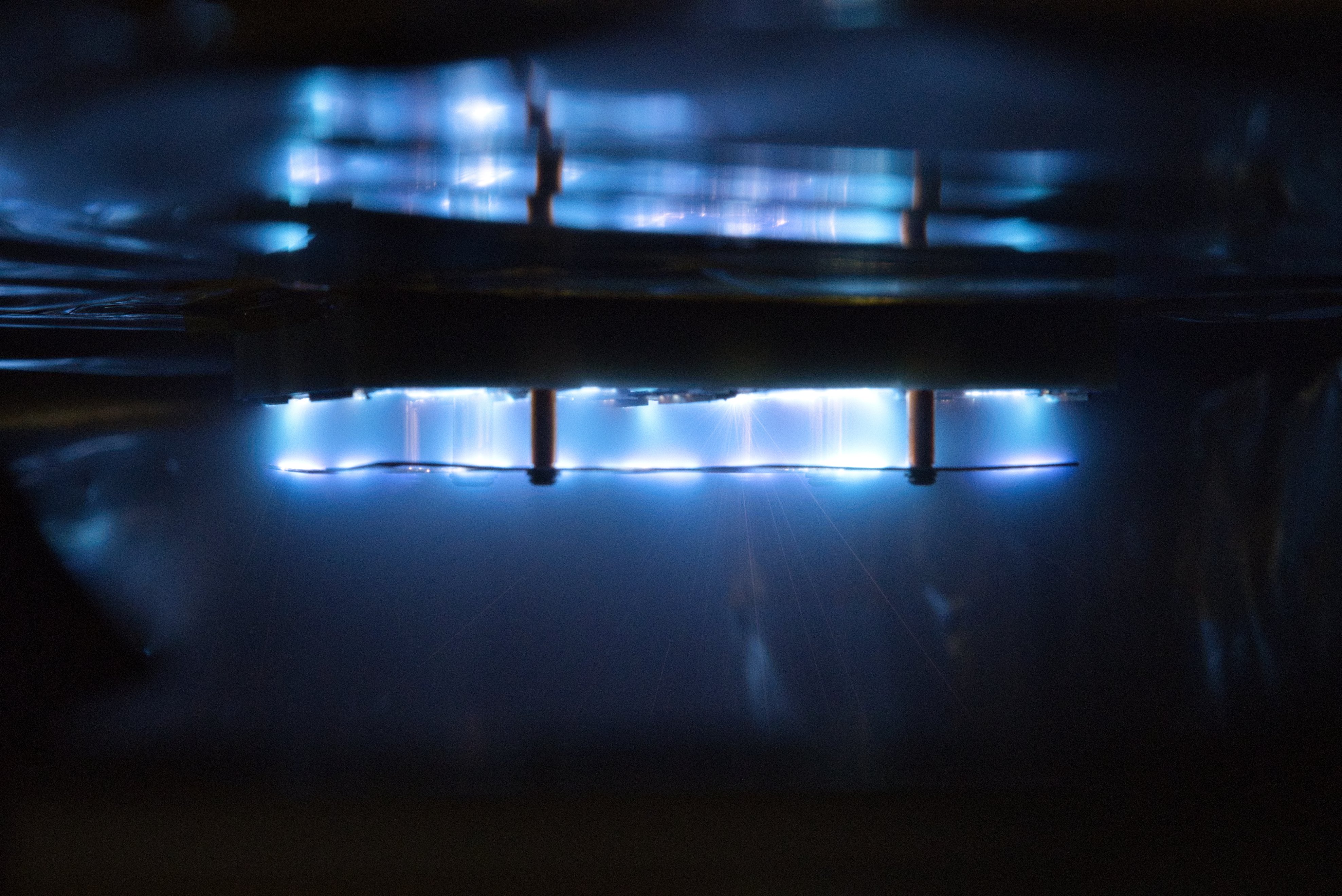 Xantus Firing
